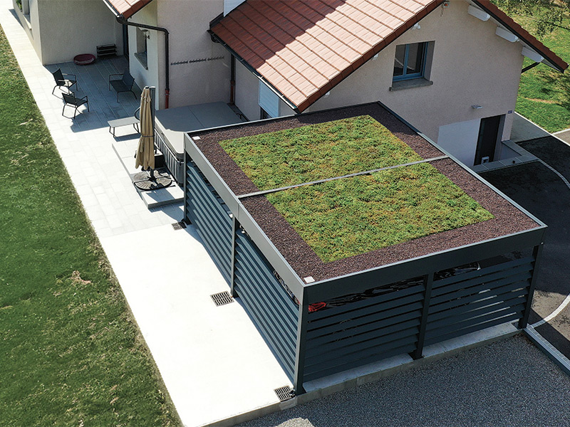 carpot vegetalise