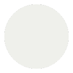 ral 9016 blanc