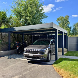 Carport végétalisé et pergola bioclimatique - Vessy (1234) carport végétalisé et pergola bioclimatique - vessy (1234) – image 3